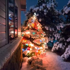 330FT Christmas String Lights 1000 LED, 8 Modes & 8 Brightness Levels with Remote & Timer, IP44 Waterproof Extra-Long Lights for Tree Patio Yard (Option: Color)